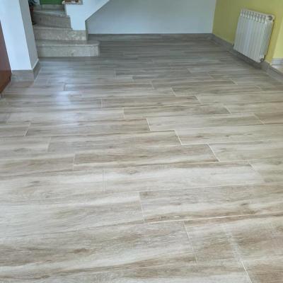 153477494 1078487282671298 7160770764824175031 N