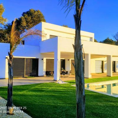 155852622 1082504552269571 4501604389083917281 N