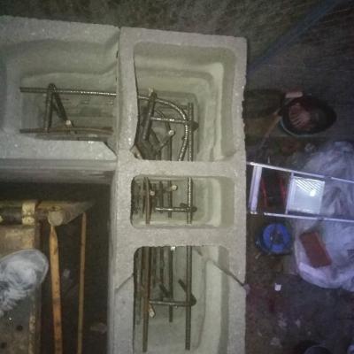 Img 20190118 075319